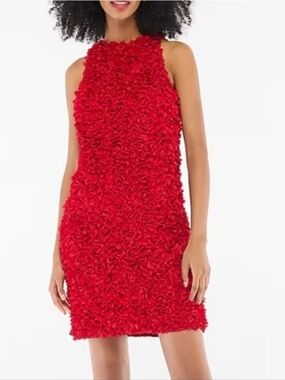 J. Crew Factory - Red Rosette Floral Appliqué Mini Dress - 4